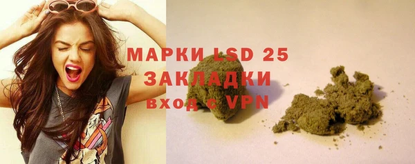 ГАЛЛЮЦИНОГЕННЫЕ ГРИБЫ Балахна