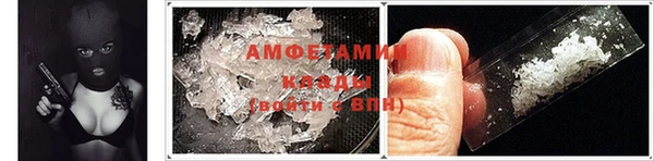 ГАЛЛЮЦИНОГЕННЫЕ ГРИБЫ Балахна