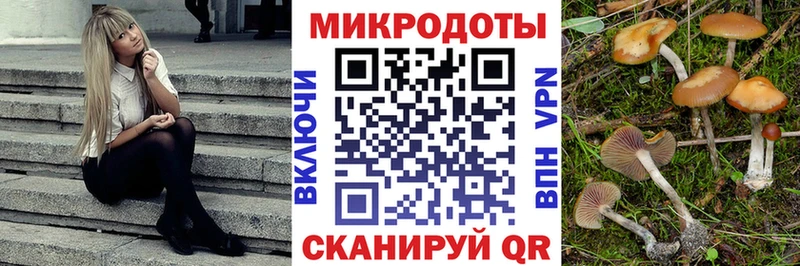 Галлюциногенные грибы ЛСД  Елизаветинская 
